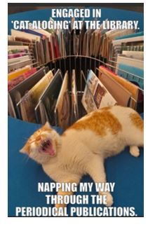 Cat-aloging Napping my way past p.eriodical publications